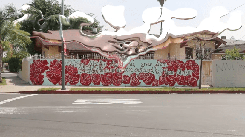 the-rose-that-gre-from-concrete-jpg-mural-leak-still